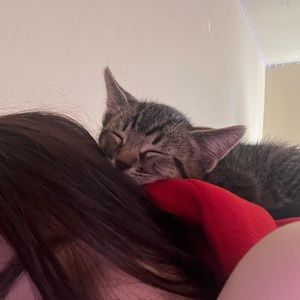 Meet your Posher, Ellie